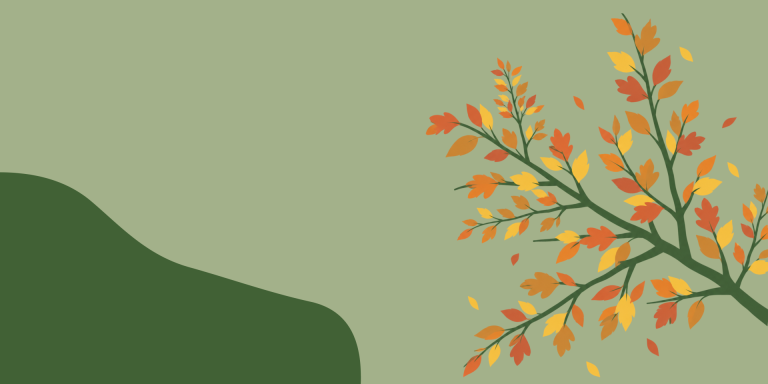 Illustration of an autumnal tree branch with leaves